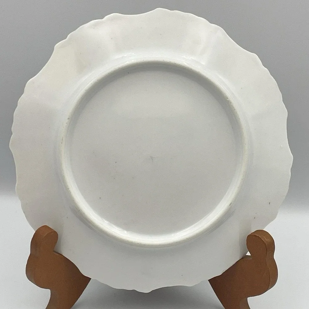 Antique 1920s Silesia‎ Germany Game Bird Scenic Porcelain Cabinet Plate 8
